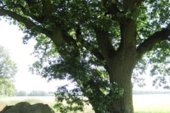 040-Hunebedden-2013