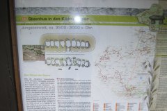 IMG_4676