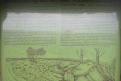 IMG_4684
