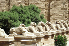 05a-Karnak-sphinxallee