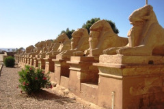 05b-Karnak-sphinxallee