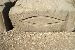 06