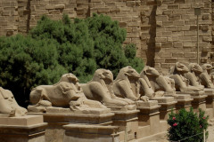 Dag-13-Karnak-005.VividShare