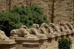 Dag-13-Karnak-005.Vivid_