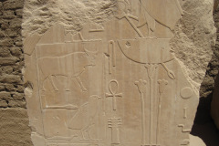 Dag-13-Karnak-035