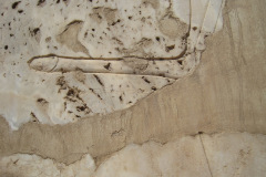 Dag-13-Karnak-117