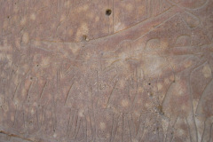 Dag-13-Karnak-161