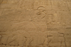 Dag-13-Karnak-187