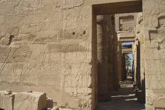 Dag-13-Karnak-195