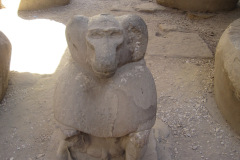 Dag-13-Karnak-235