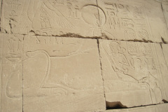 Dag-13-Karnak-252