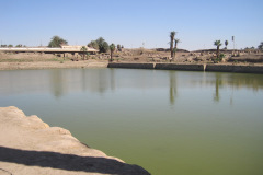 Dag-13-Karnak-259