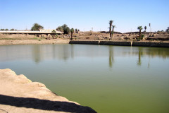 Dag-13-Karnak-259.VividShare