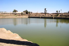 Dag-13-Karnak-259.Vivid_