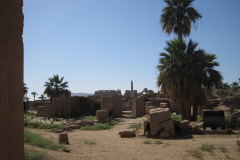 Dag-13-Karnak-308