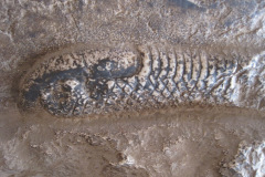 Dag-13-Karnak-337