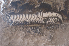 Dag-13-Karnak-338