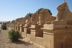 Dag-13-Karnak-393
