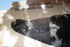 01-Kom-Ombo-Crocodile-museum
