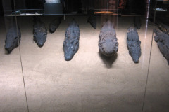 03-Kom-Ombo-Crocodile-museum