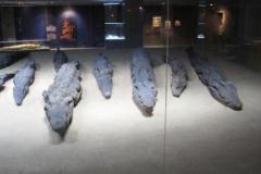 04-Kom-Ombo-Crocodile-museum