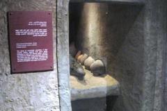 10-Kom-Ombo-Crocodile-museum