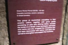 11-Kom-Ombo-Crocodile-museum