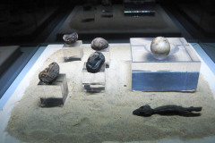 16-Kom-Ombo-Crocodile-museum