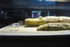 18-Kom-Ombo-Crocodile-museum