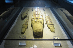 19-Kom-Ombo-Crocodile-museum
