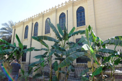 SAM_0354