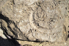 40-Tempel-naast-het-paleis-van-Ahmose
