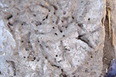 42-Tempel-naast-het-paleis-van-Ahmose