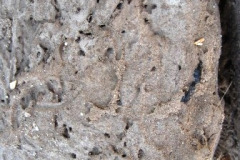 43-Tempel-naast-het-paleis-van-Ahmose