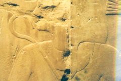 040.-Detail-Hatsjepsoet-reliefblok-Luxor-museum