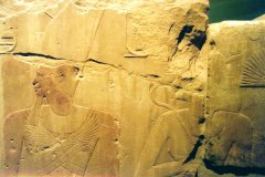041.-Blok-van-Hatsjepsoet-en-Toetmosis-II-Luxor-Museum