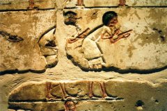 061