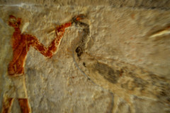 DSC_0238.Vivid_