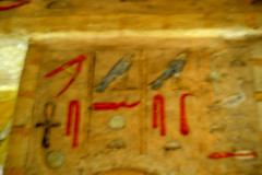 DSC_0262.Vivid_
