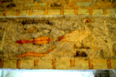 DSC_0263.Vivid_