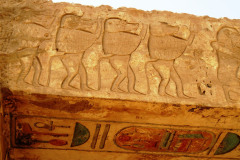Dag-7-fotos-Deir-el-Medina-Vallei-queens-Medina-el-Habu-200