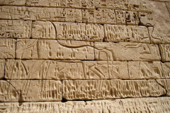 Dag-7-fotos-Deir-el-Medina-Vallei-queens-Medina-el-Habu-215