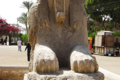 1-Memphis-albasten-sphinx-Amenhotep-II