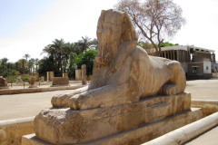 2-Memphis-albasten-sphinx-Amenhotep-II