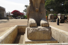 4-Memphis-albasten-sphinx-Amenhotep-II