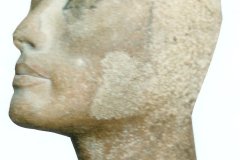 138d.-Nefertete-Cairo