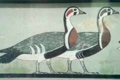 14.-Detail-ganzen-van-medoem
