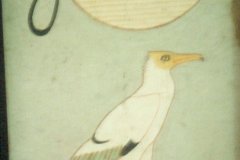 15.-Graf-van-Nefermaat-Medoem