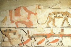 18.Graf-van-Nefermaat-Medoem