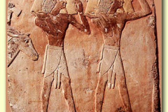 72.-Expeditie-naar-Poent-Museum-Cairo